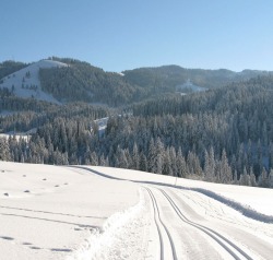 Grenzlandloipe