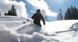 Tiefschnee-Skifahrer schmal