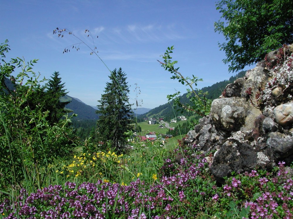 Balderschwang im Sommer