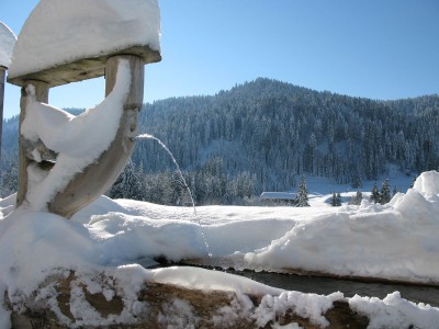 Brunnen 1
