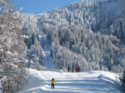 Alpin und Loipe