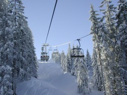 Schelpenbahn
