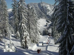 Schwarzenberglift