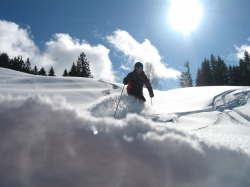 Tiefschnee-Skifahrer