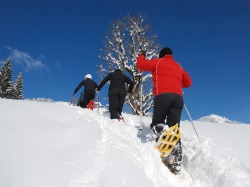 Schneeschuhwandern