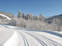 Grenzlandloipe