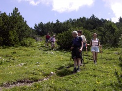 Wandern Sommer
