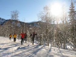 Langlauf auf der Scheuenloipe