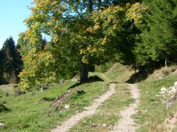 Höhenwanderweg