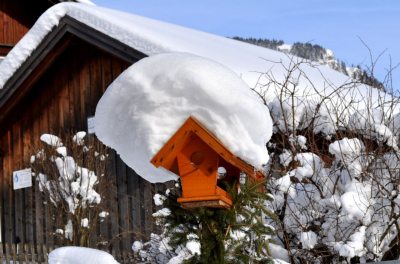 Haus Zint Haus Zint