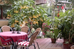 garten garten