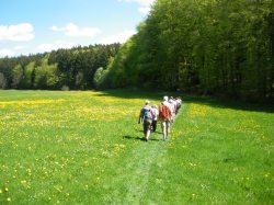 Genusswandern Genusswandern