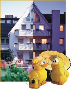 alexa_bild2_enten alexa_bild2_enten