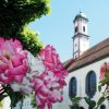 Klosterkirche Sommer
