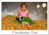 Meerschweinchen Minni