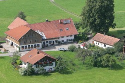 mockenhofheli3