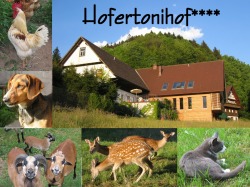 Hofertonihof