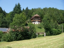 Blick auf d. Ferienhaus Gallushof