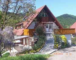 Ferienhaus Ansicht von hinten