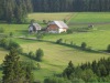 hofbilder2008034