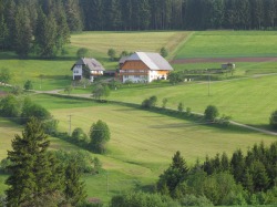 hofbilder2008034