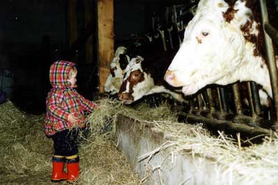 Kind beim Füttern Kind beim Füttern