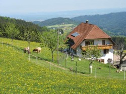 Panoramablick vom Reeshof