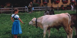 Urlaub auf dem Bauernhof in Ofterschwang Urlaub in der Natur. Ein bewirtschafteter Bauernhof mit Tieren und jeder Menge Abwechslung.
