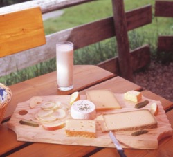 brotzeitinofterschwang_ausschnitt_915x831