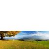 Wittelsbacher...
