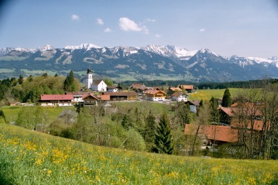Ofterschwang in der Löwenzahnblüte