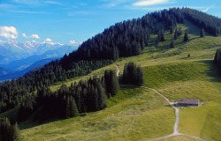 Hörner-Panorama-Tour mit Fahnengehren Alpe Die Fahnengehren Alpe liegt zwischen dem Ofterschwanger und dem Sigiswanger Horn auf der Hörner-Panorama-Tour.