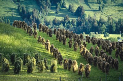 Tradinionelle Landwirtschaft in Ofterschwang