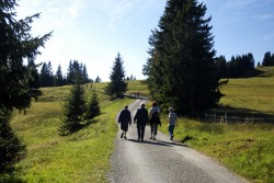 Wandern im Wandergiebt Ofterschwanger Horn