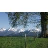 Wittelsbacher...
