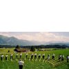 Alphorn-Treff...