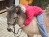 Ponyf&uuml;hren mit Roy auf dem Urlaubsreiterhof Trunk