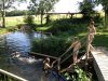 Natur-Badeteich 