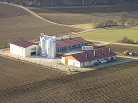 schweinestall