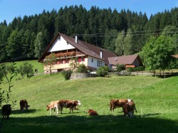 martihansen08-24