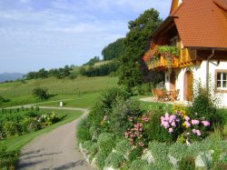 Brennh&auml;usle Terrasse Balkon