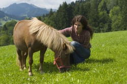 pony_23326_12_31_klein72