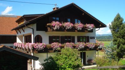 blumen2014 blumen2014