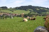 Rettenberg