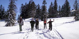 schneeschuhwanderungen