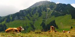 wandern