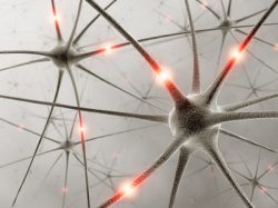 Neurovegetative Dystonie Störungen der Nervenbahnen