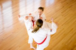 Judo Japanischer Kampfsport als ganzheitliche Lehre für Körper und Geist