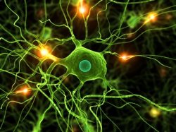 Paresen Neurologische Störung der Nerven