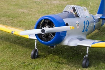Modelflug